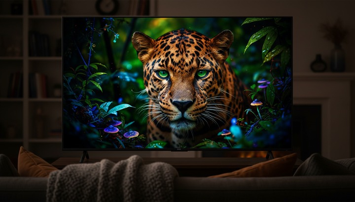 4K 넷플릭스를 한국 거실의 대형 TV로 즐기는 가족